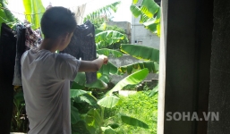 Vợ cùng 'phi công trẻ' giết chồng: Giấc mơ lạ của cậu con trai